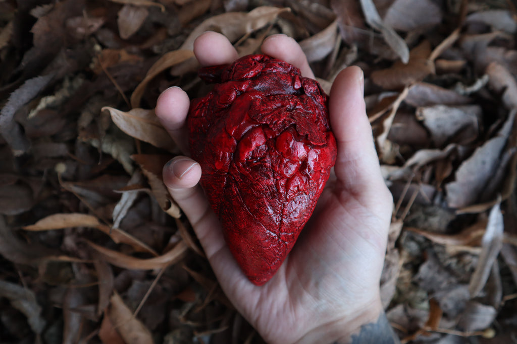 Dry Preserved Whitetail Deer Heart