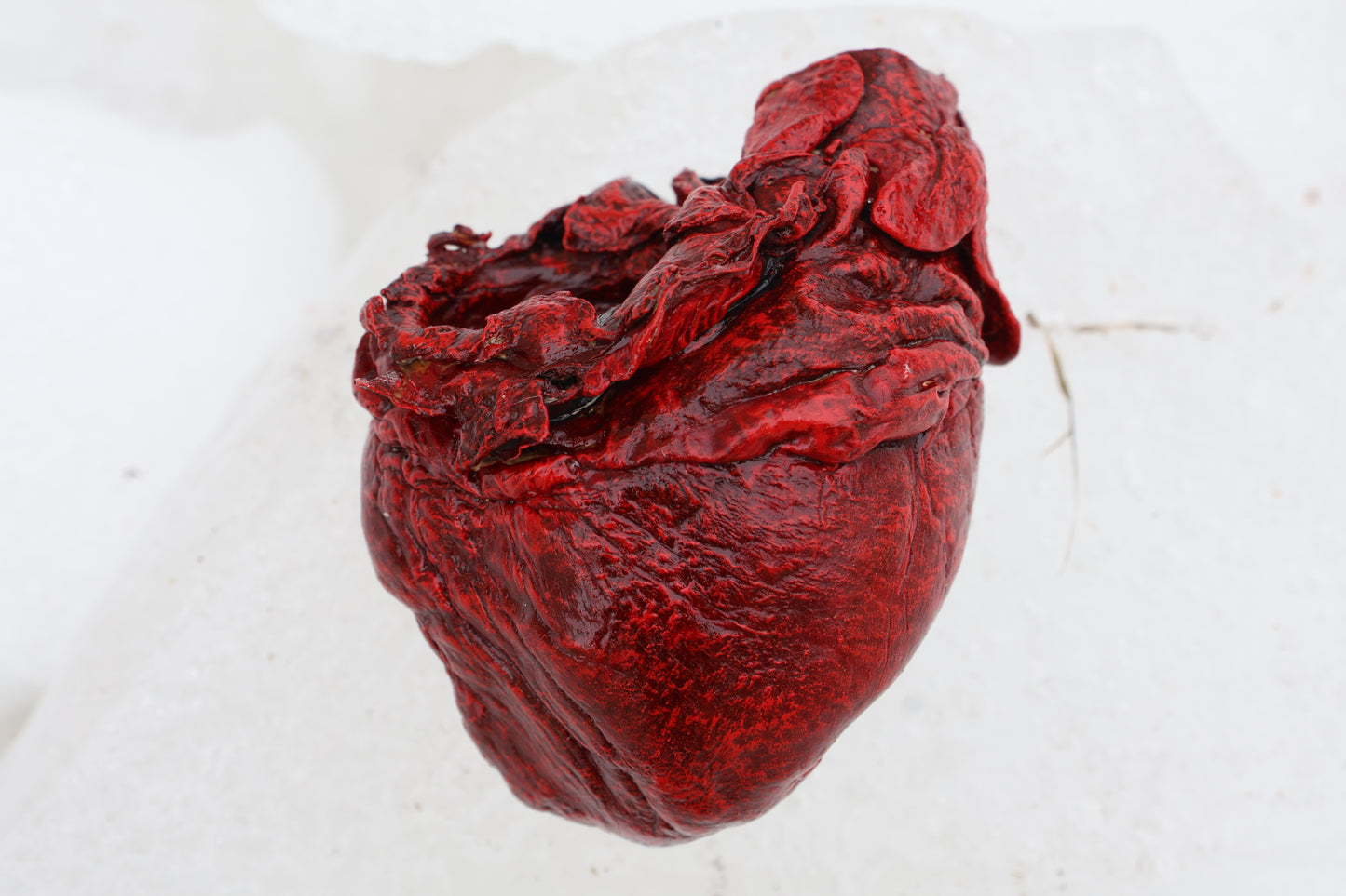 Dry Preserved Wolf Heart