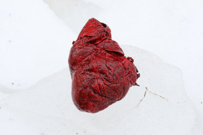 Dry Preserved Wolf Heart