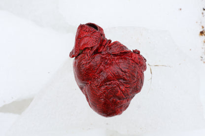 Dry Preserved Wolf Heart