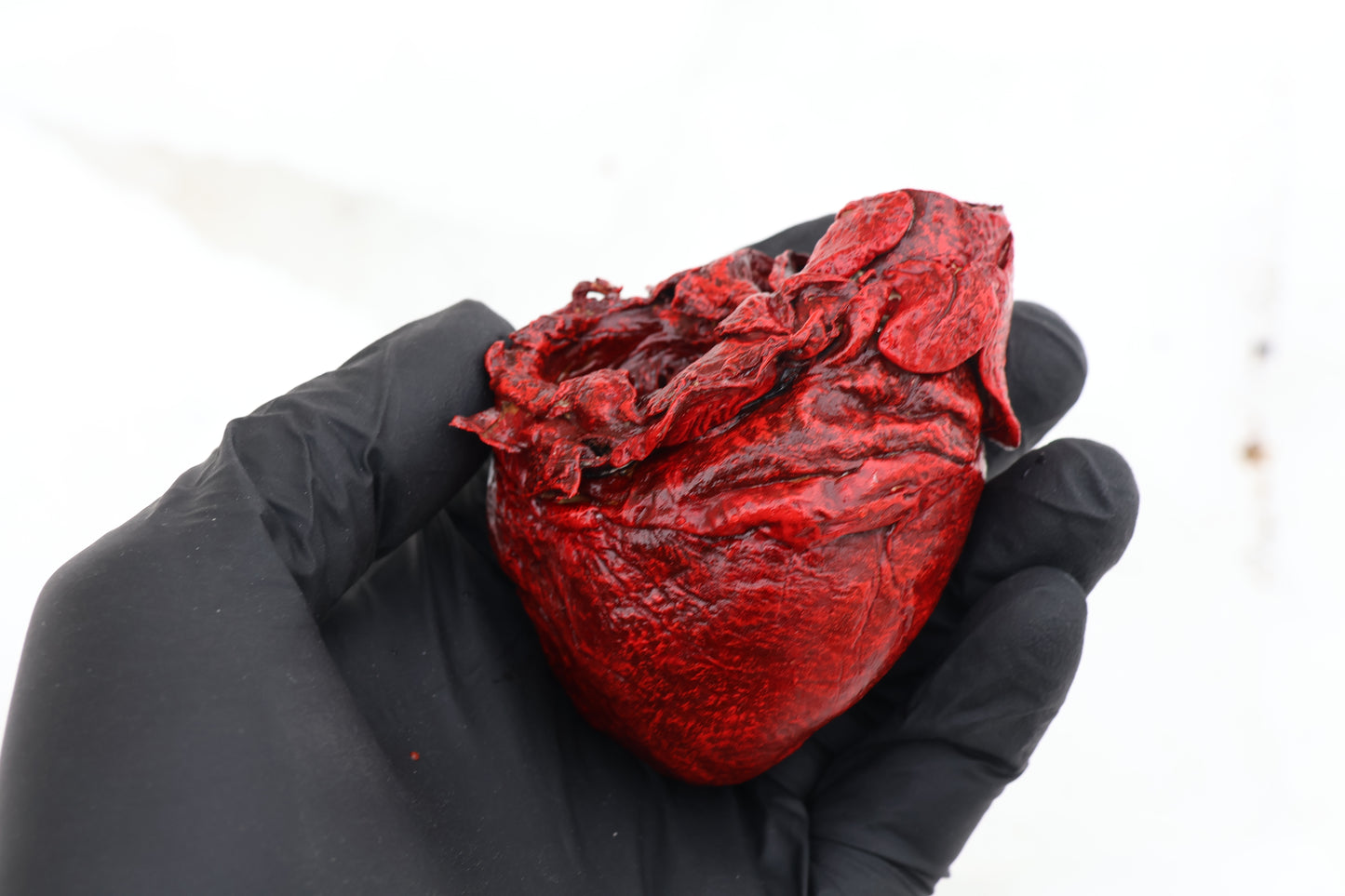 Dry Preserved Wolf Heart