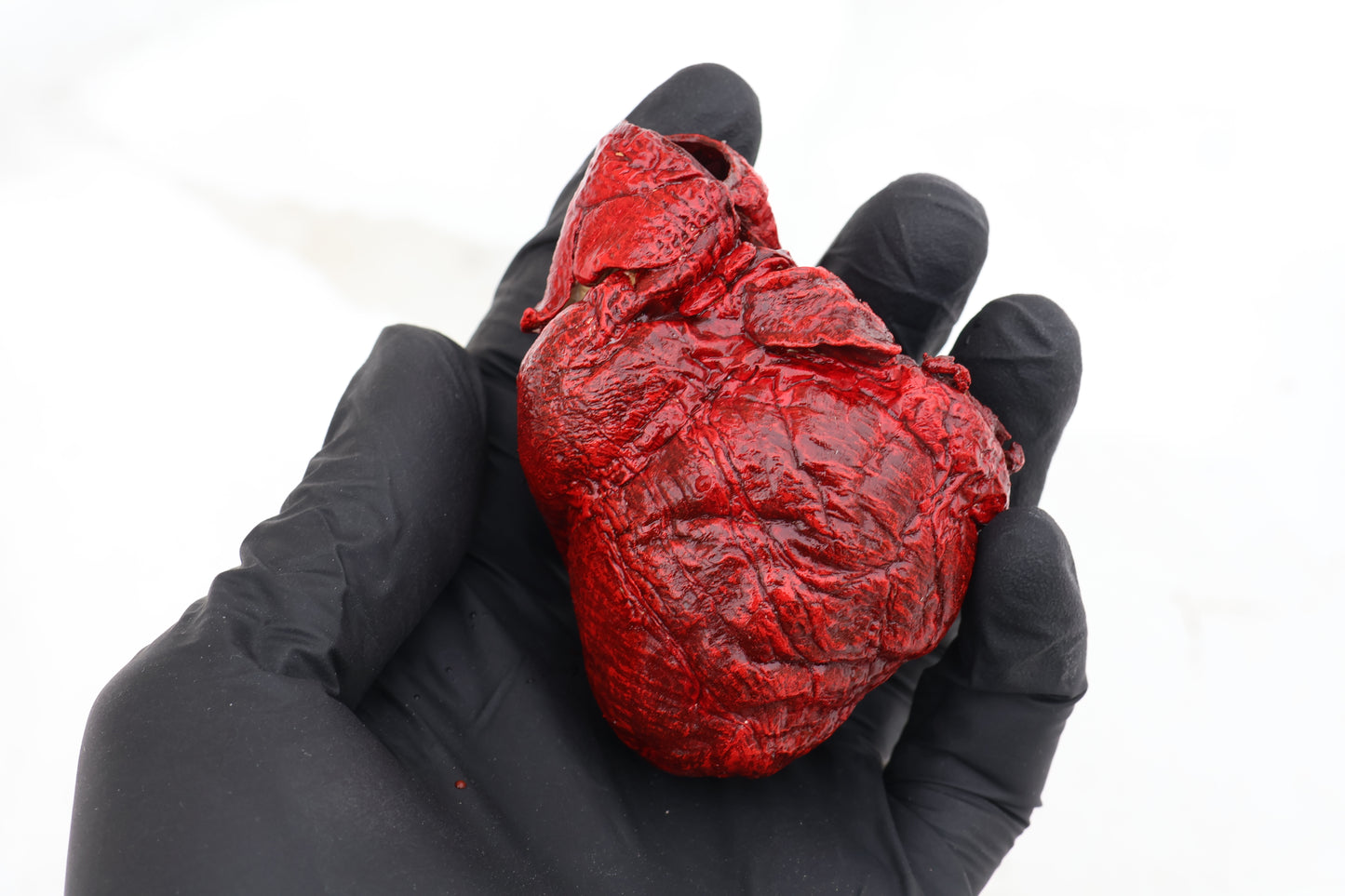 Dry Preserved Wolf Heart