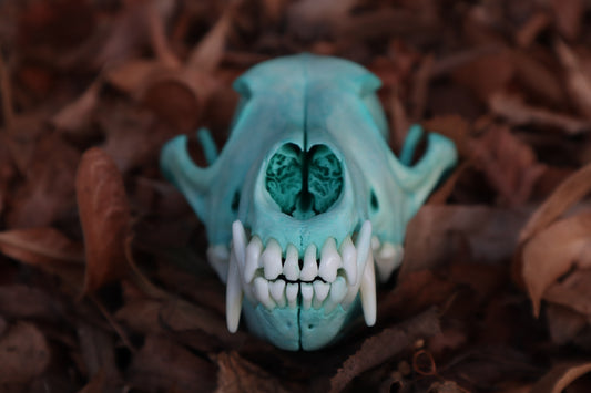 Blue Copper Coyote Skull