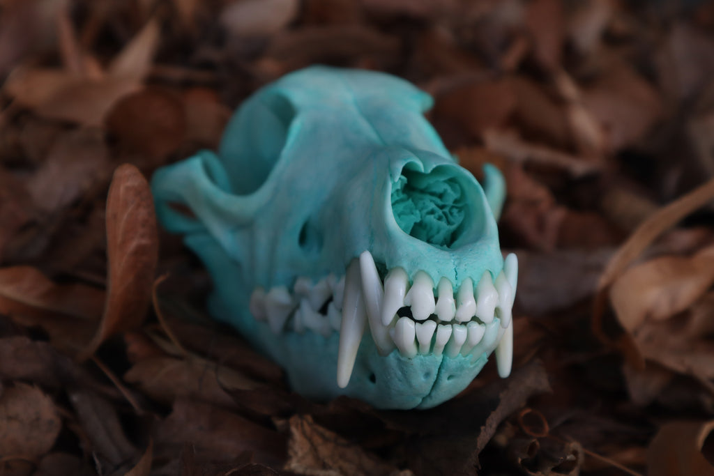 Blue Copper Coyote Skull