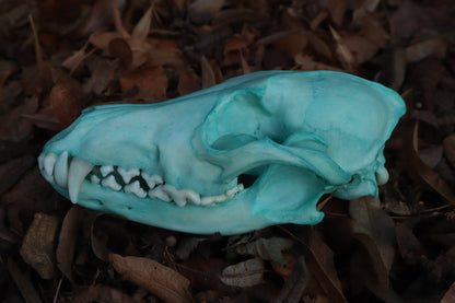 Blue Copper Coyote Skull