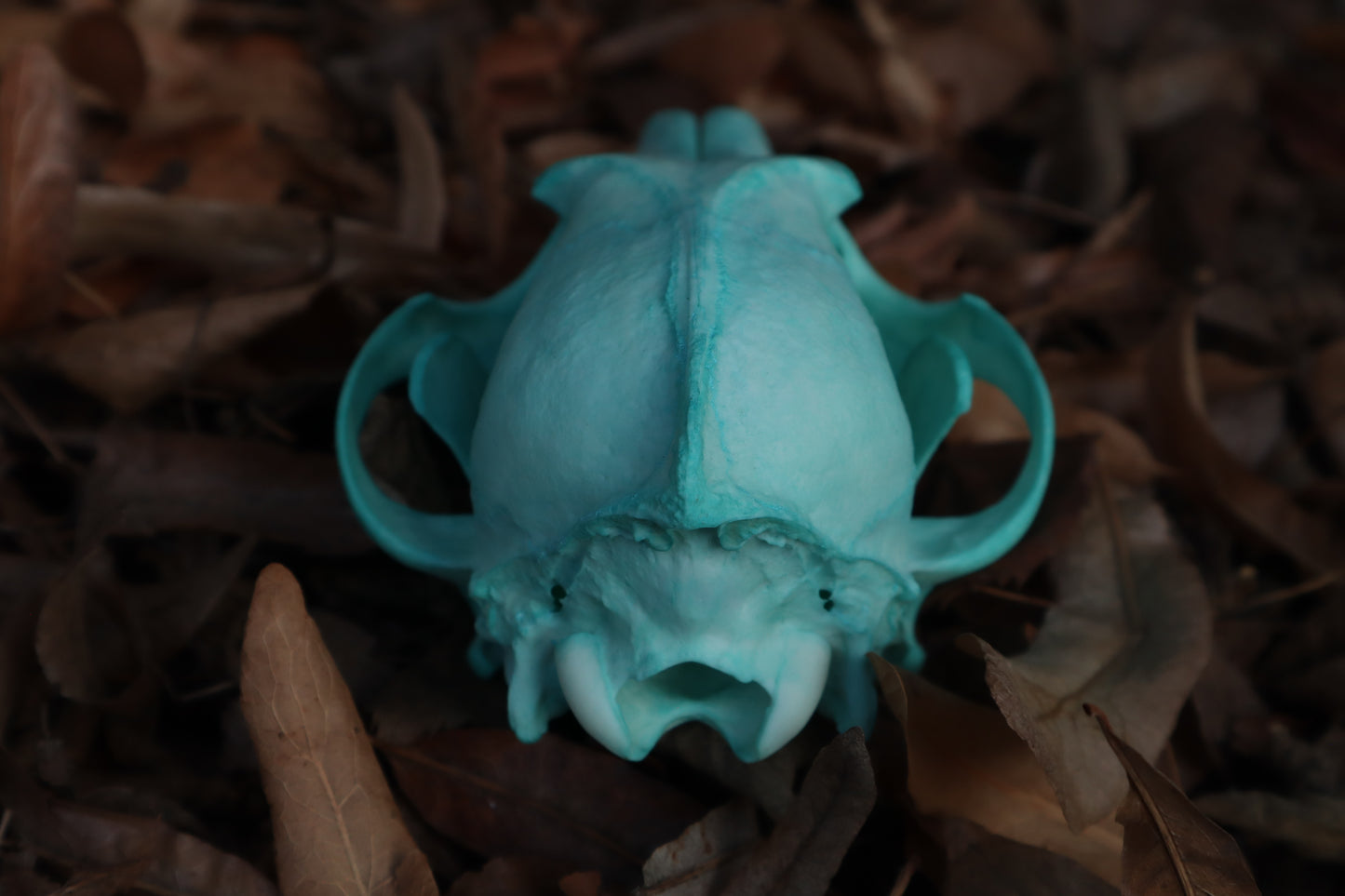 Blue Copper Coyote Skull