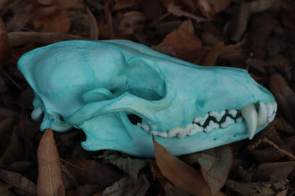 Blue Copper Coyote Skull