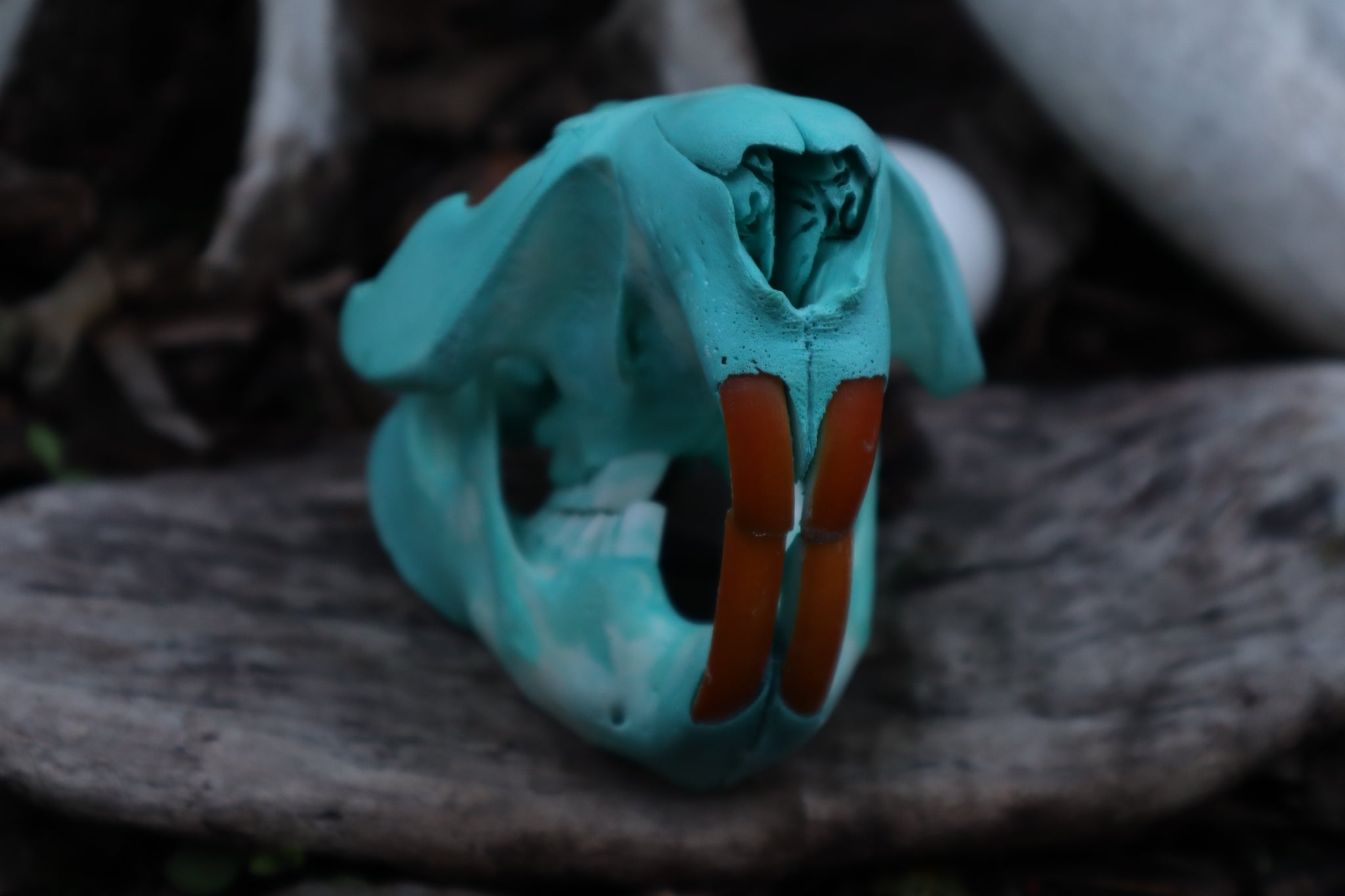 Blue Copper Beaver Skull