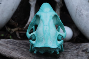 Blue Copper Beaver Skull