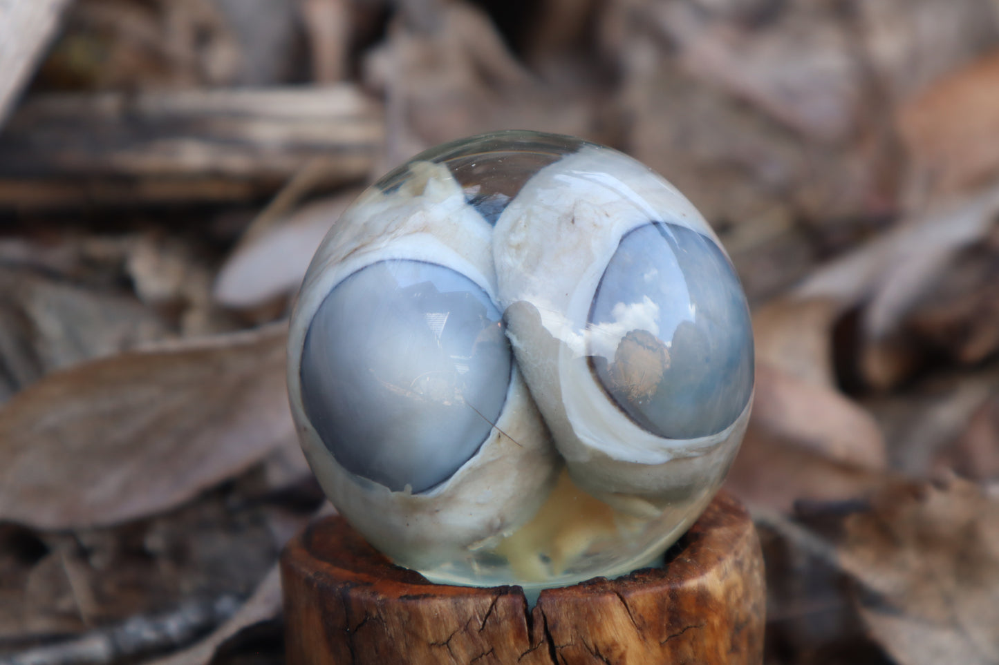 Wolf Eyeball Crystal Ball with Base