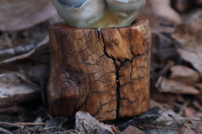Wolf Eyeball Crystal Ball with Base