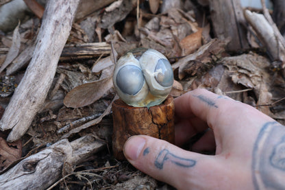 Wolf Eyeball Crystal Ball with Base