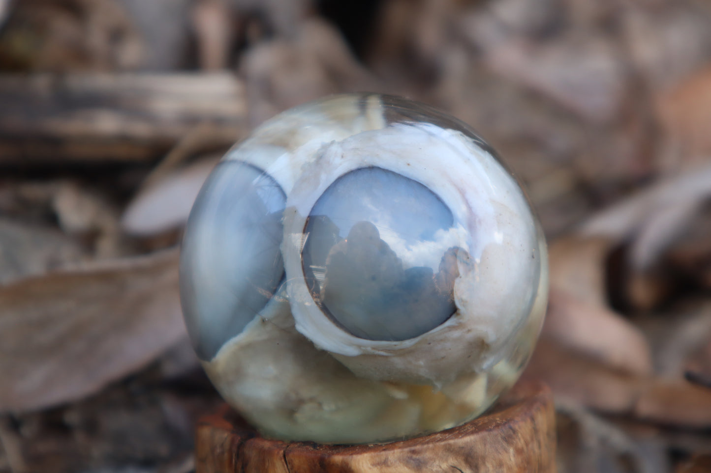 Wolf Eyeball Crystal Ball with Base