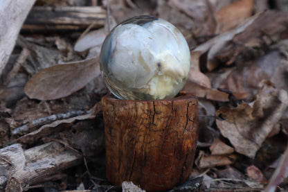 Wolf Eyeball Crystal Ball with Base