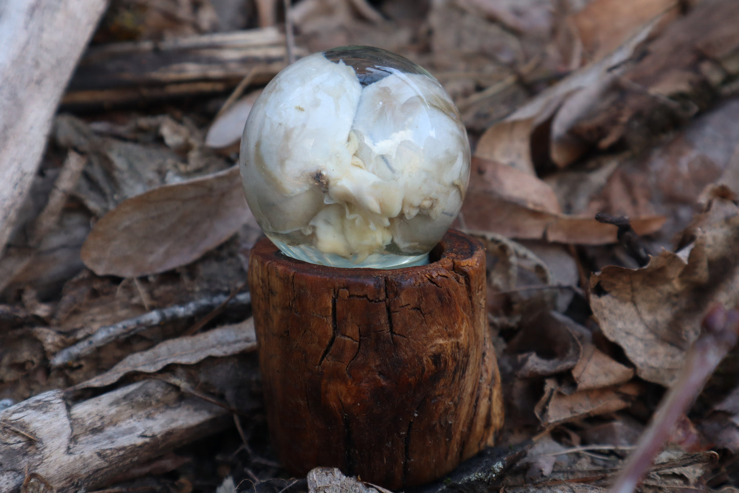 Wolf Eyeball Crystal Ball with Base
