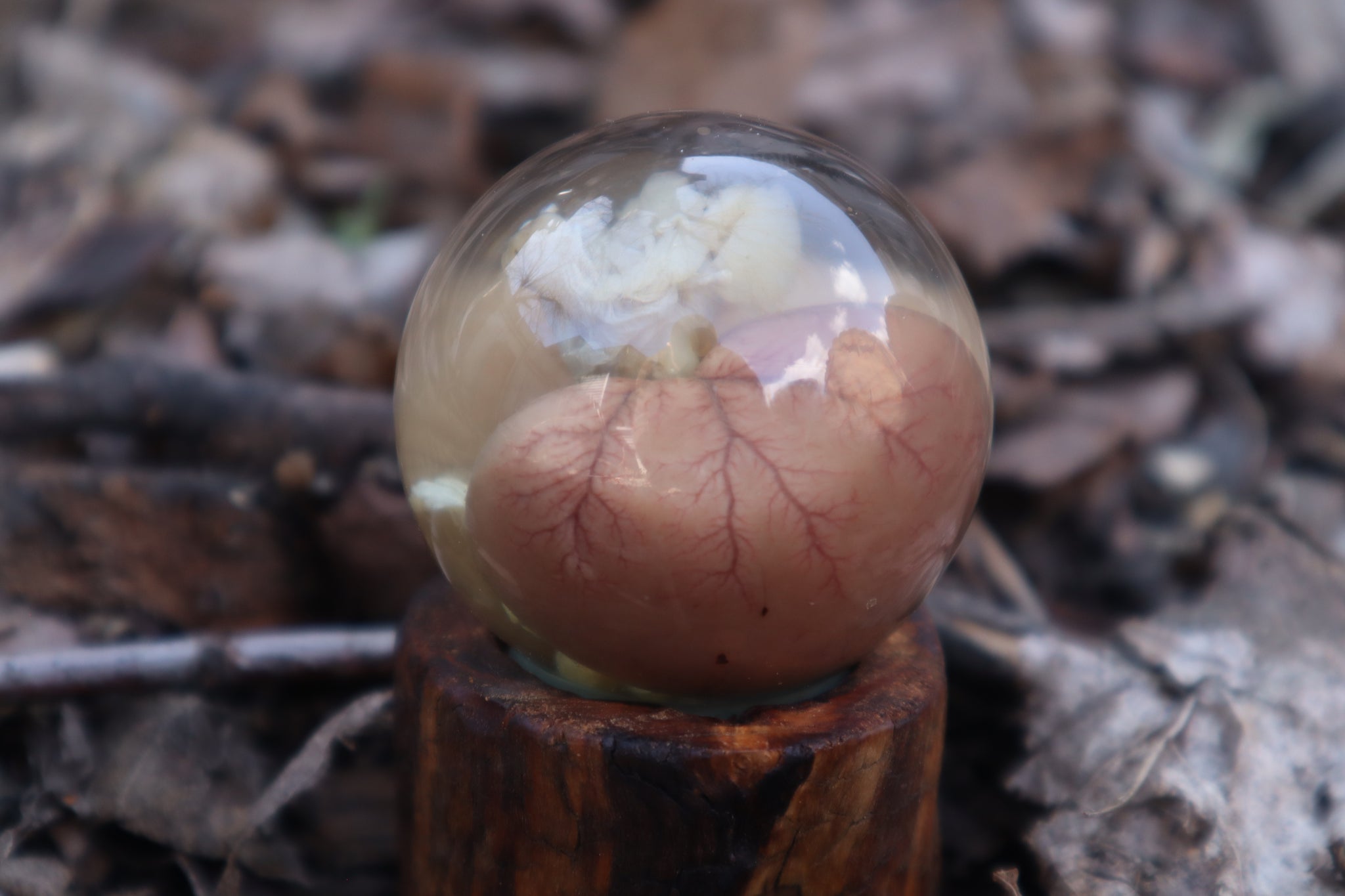 Black Cat Kidney Crystal Ball with Base