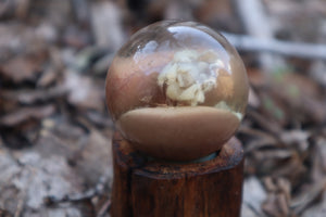 Black Cat Kidney Crystal Ball with Base