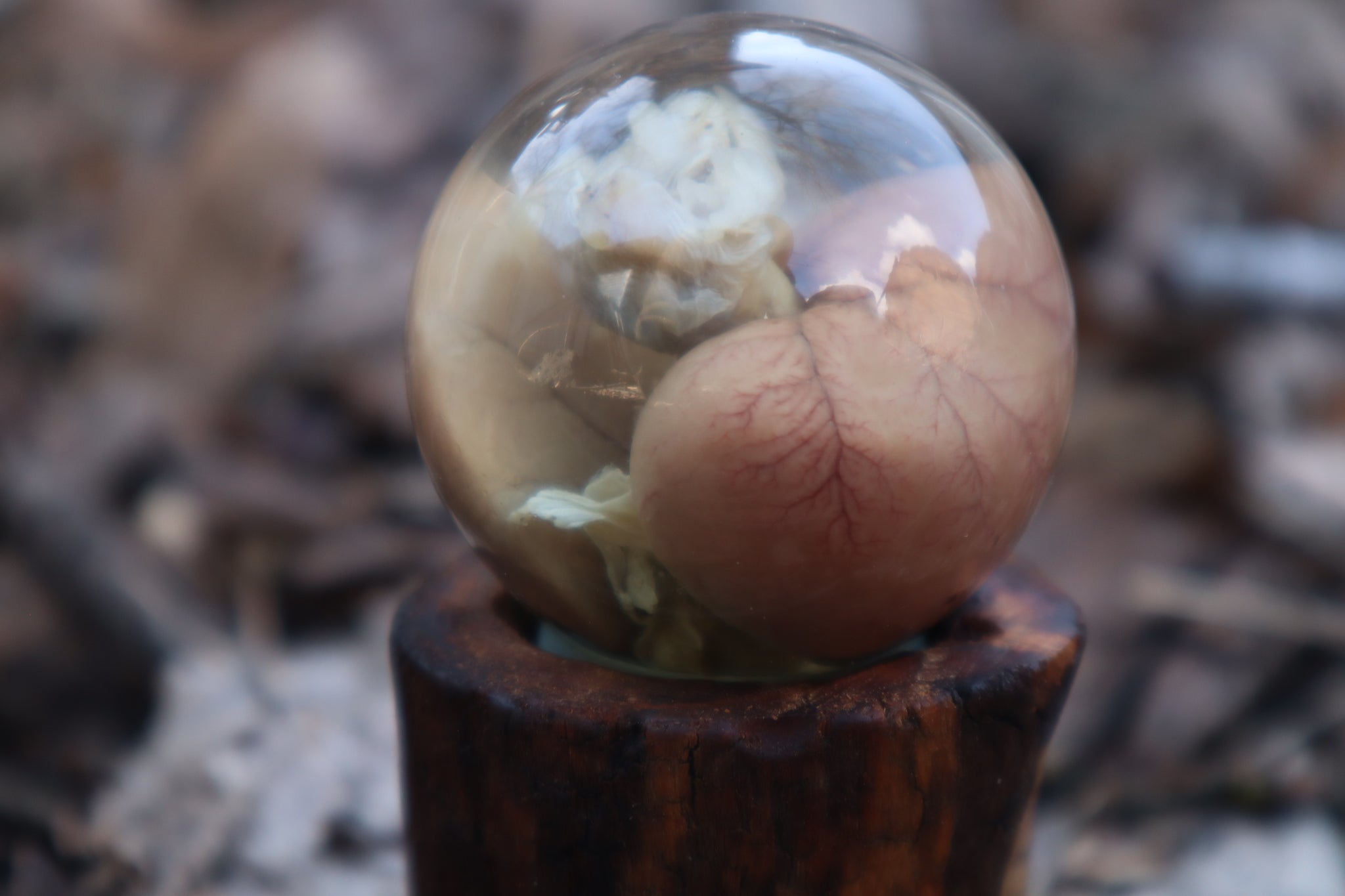 Black Cat Kidney Crystal Ball with Base