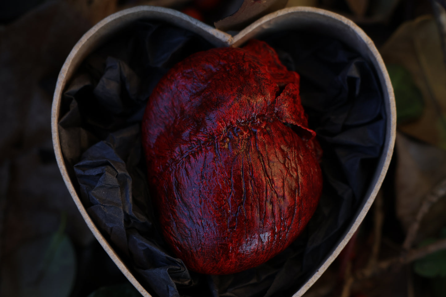 Dry Preserved Red Fox Heart