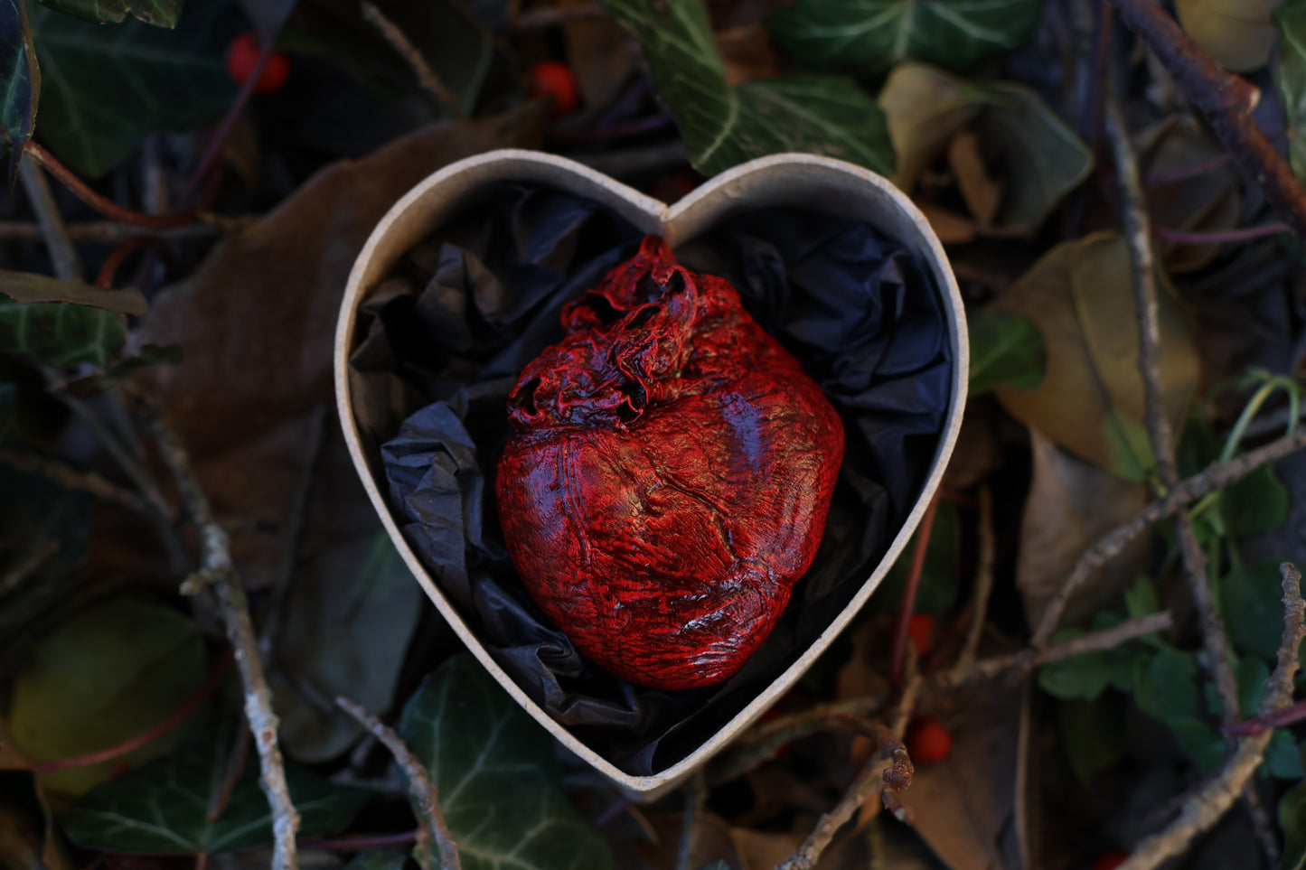 Dry Preserved Red Fox Heart