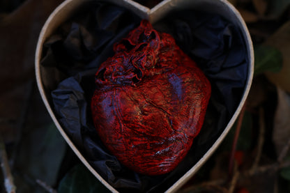 Dry Preserved Red Fox Heart