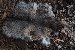 Reserved for Zia - Craft Bobcat Pelt