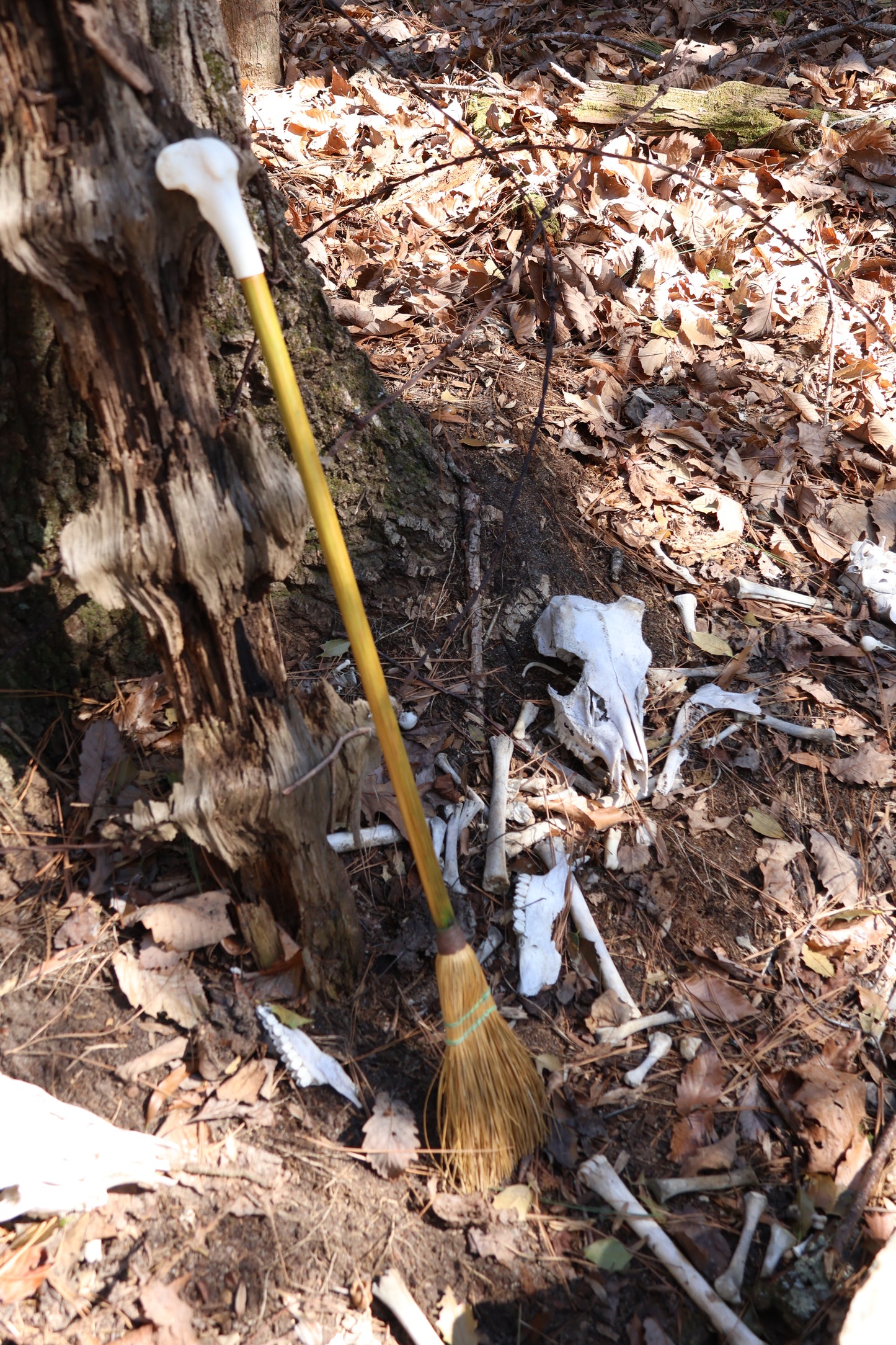Wolf Bone Besom