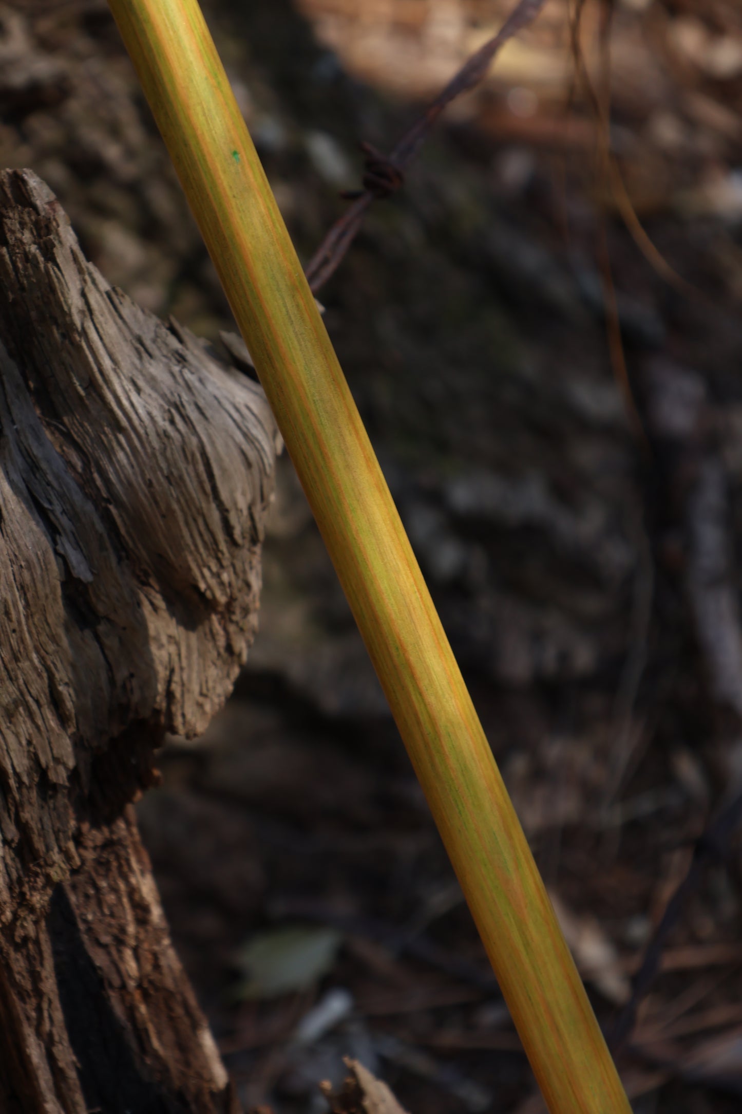 Wolf Bone Besom