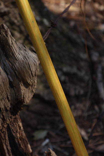 Wolf Bone Besom
