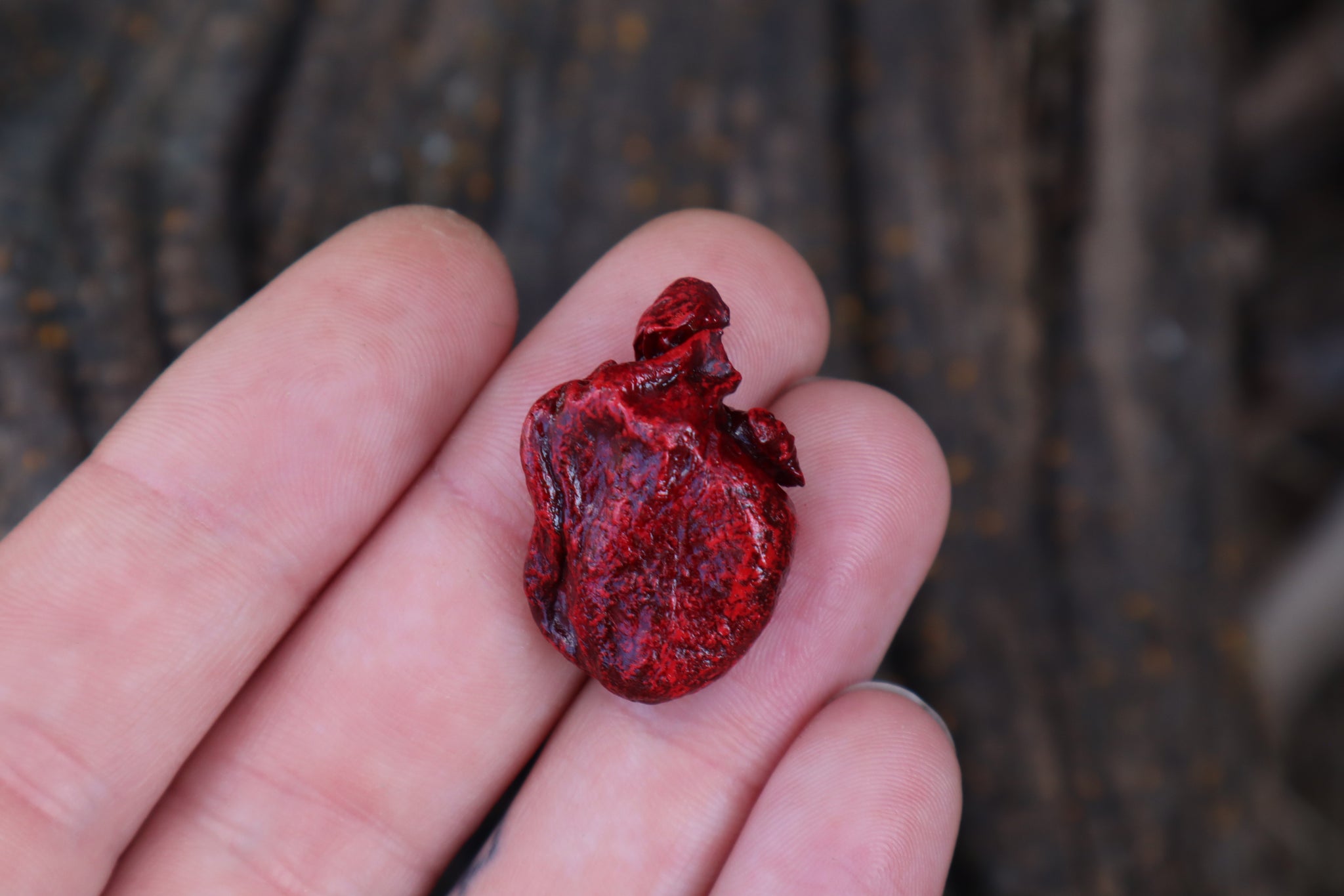 Dry Preserved Kitten Heart