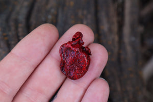 Dry Preserved Kitten Heart