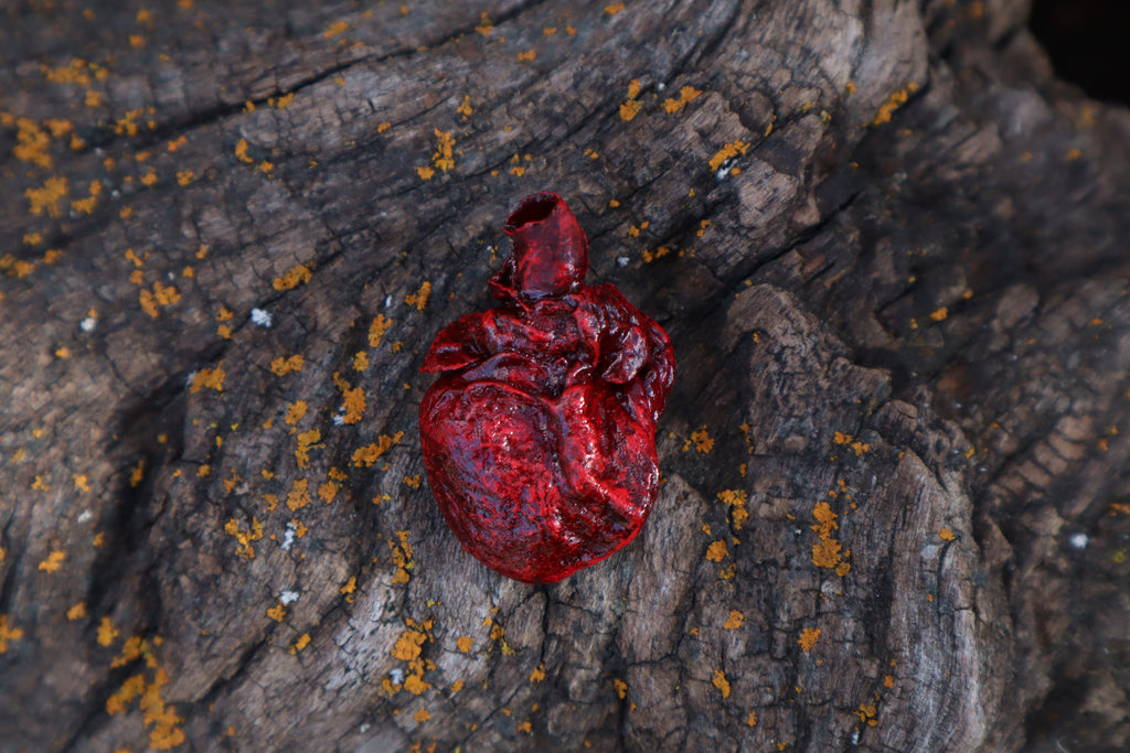 Dry Preserved Kitten Heart