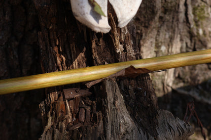 Wolf Bone Besom