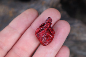 Dry Preserved Kitten Heart