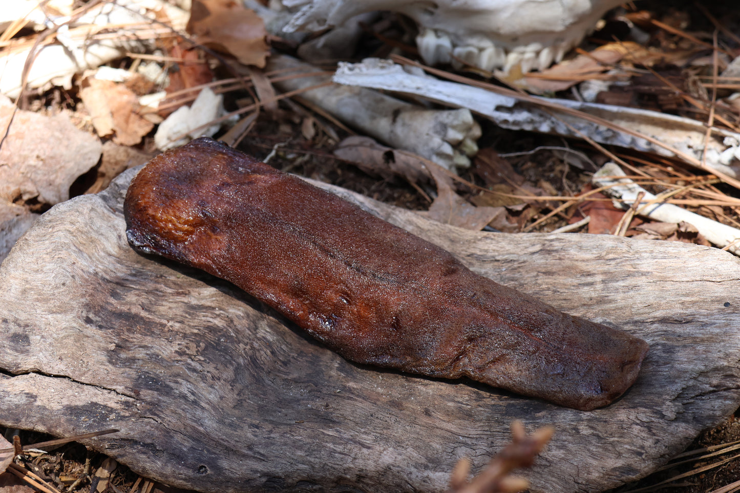 Dry Preserved Wolf Tongue