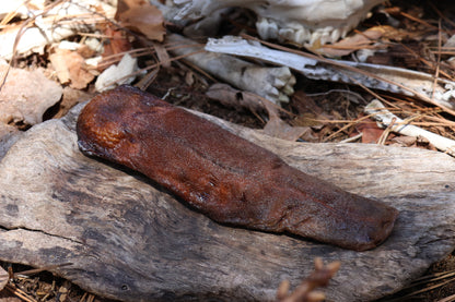 Dry Preserved Wolf Tongue