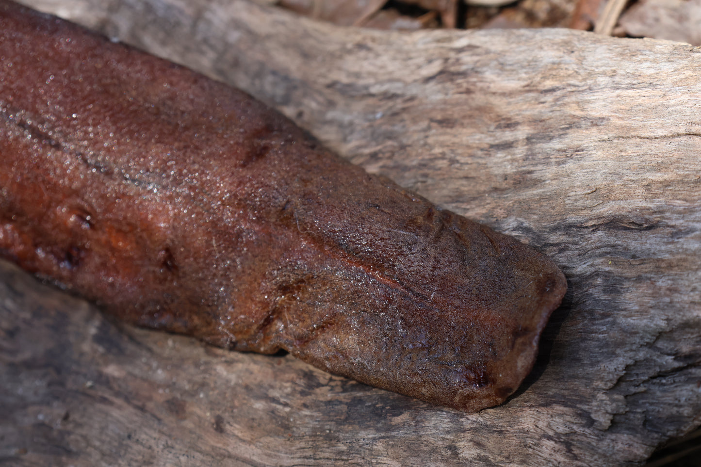 Dry Preserved Wolf Tongue