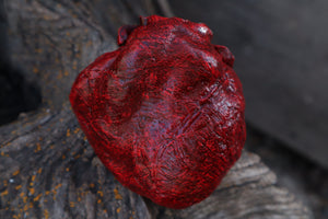 Dry Preserved Wolf Heart