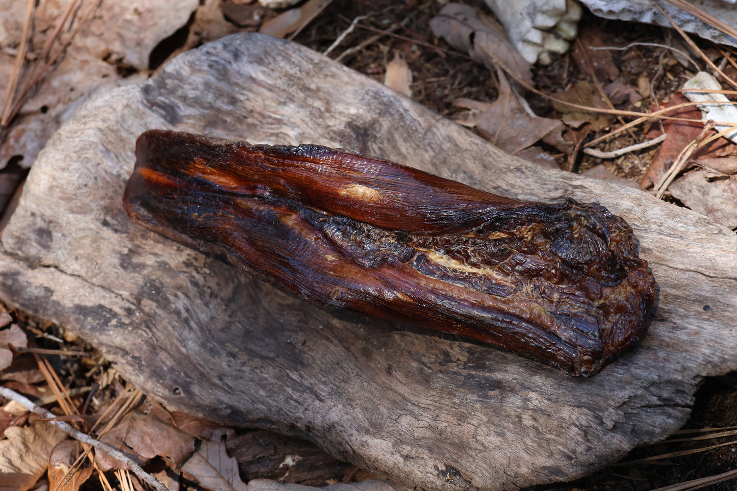 Dry Preserved Wolf Tongue