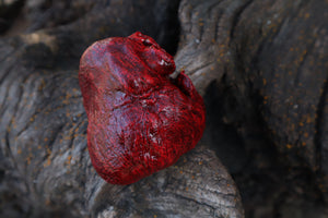 Dry Preserved Wolf Heart