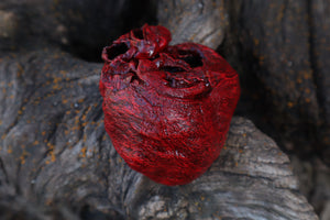 Dry Preserved Wolf Heart