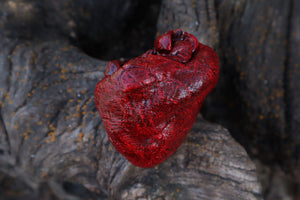 Dry Preserved Wolf Heart