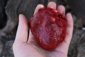 Dry Preserved Wolf Heart