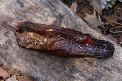 Dry Preserved Wolf Tongue