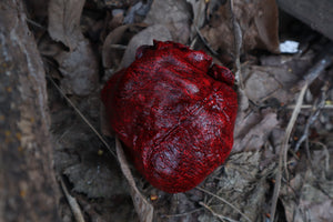 Dry Preserved Wolf Heart