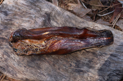 Dry Preserved Wolf Tongue