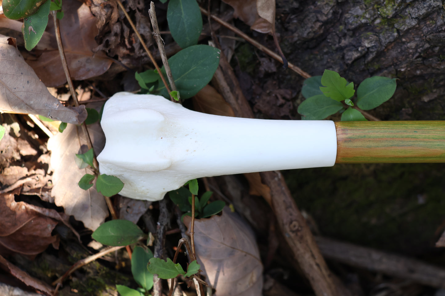 Wolf Bone Besom