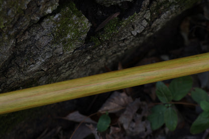 Wolf Bone Besom