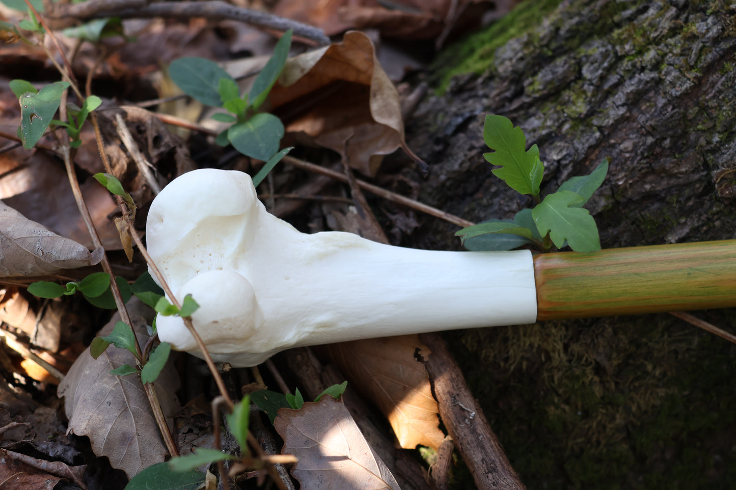 Wolf Bone Besom