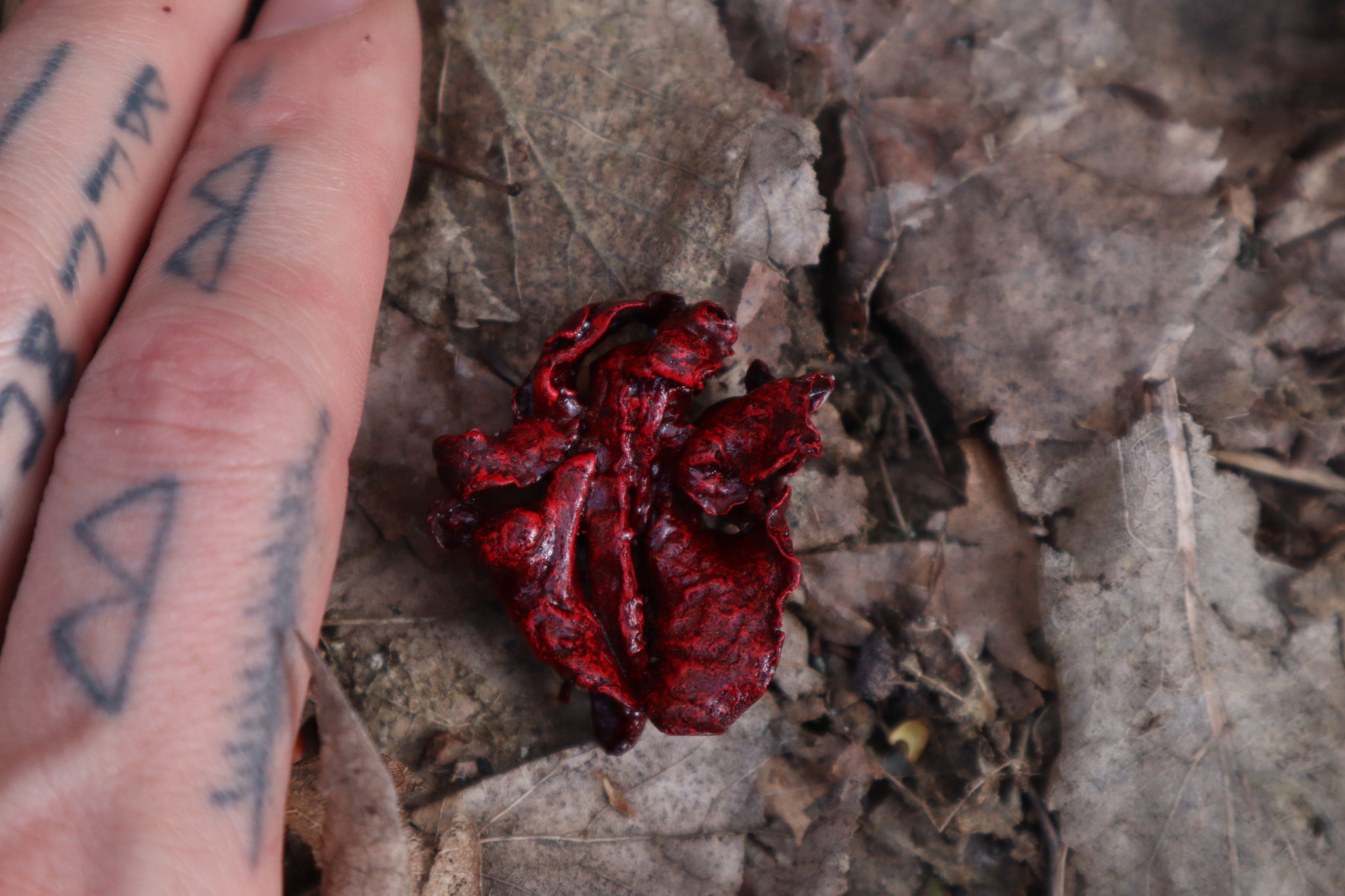 Dry Preserved Kitten Lungs